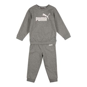 PUMA Sportovní oblečení  šedá / bílá