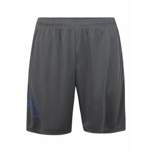 UNDER ARMOUR Sportovní kalhoty 'TECH'  modrá / šedá