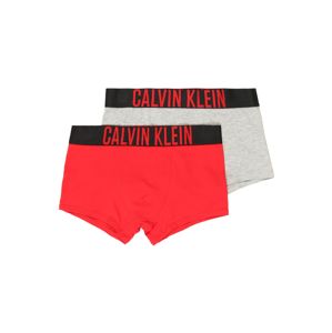 Calvin Klein Underwear Spodní prádlo  světle šedá / červená