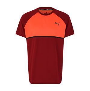 PUMA Funkční tričko  oranžová / rezavě červená
