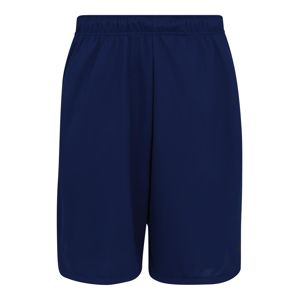 NIKE Sportovní kalhoty 'Dry'  tmavě modrá