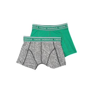 VINGINO Spodní prádlo  šedá / zelená