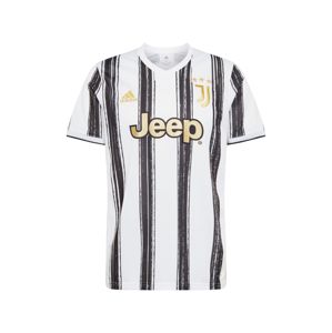 ADIDAS PERFORMANCE Trikot 'Juventus Turin'  černá / bílá