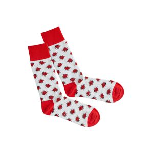 DillySocks Ponožky 'Snow Bug'  červená / bílá
