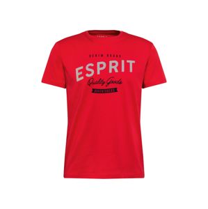 ESPRIT Tričko  červená