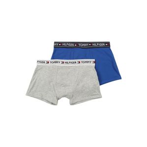 Tommy Hilfiger Underwear Spodní prádlo  modrá / šedá
