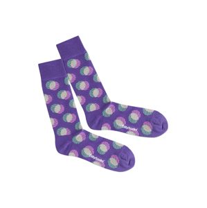 DillySocks Ponožky 'Optical Illusion'  béžová / fialová