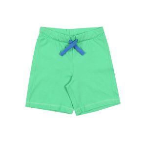 UNITED COLORS OF BENETTON Kalhoty  světle zelená / nebeská modř