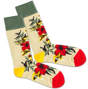DillySocks Ponožky 'Dry Flower'  béžová / žlutá / zelená / červená