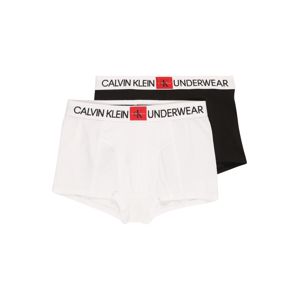 Calvin Klein Underwear Spodní prádlo  černá / bílá