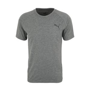 PUMA Funkční tričko 'Evostripe Move'  šedý melír