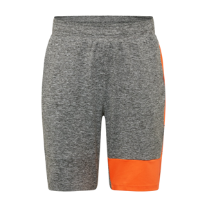 4F Sportovní kalhoty  oranžová / šedá