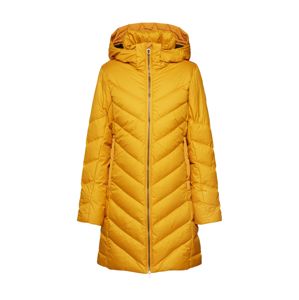 G-Star RAW Zimní kabát 'Whistler'  zlatá