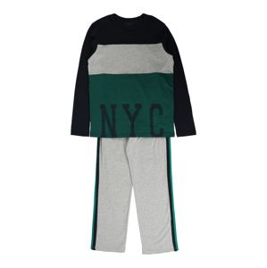 SCHIESSER Pyžamo  šedý melír / zelená